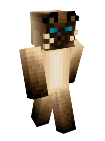 This is Ant's minecraft skin. He is a siamese cat with bright blue eyes, based off his own cat in real life.